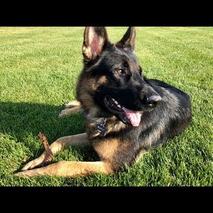 Meet your Posher, Katie